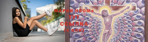 прущие грибы Белоозёрский