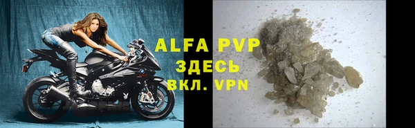 прущие грибы Белоозёрский