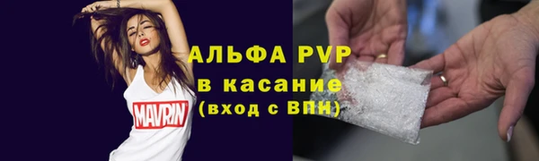 прущие грибы Белоозёрский
