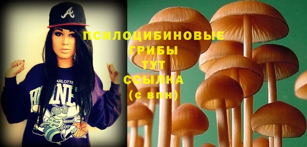 прущие грибы Белоозёрский