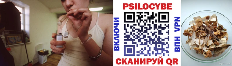 Псилоцибиновые грибы Psilocybine cubensis  Володарск 